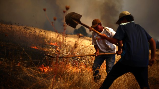Corte ratificó libertad para los cuatro sospechosos de incendio en Chépica