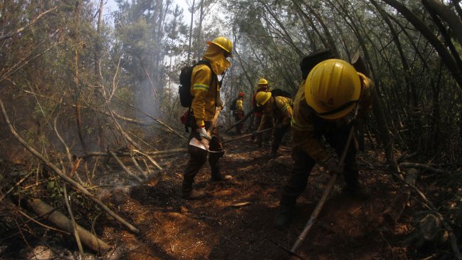 La catástrofe le ha costado al Fisco 233 mil millones de pesos