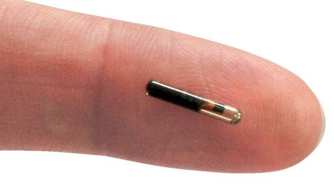 Empresa belga implantó un chip subcutáneo a ocho trabajadores