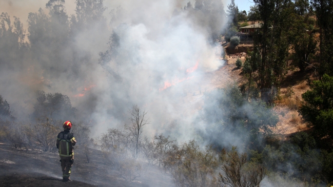 Onemi: Incendios forestales dejan 7.471 damnificados y 469 albergados