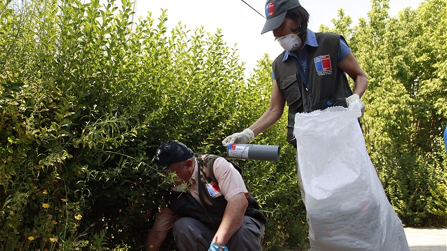 Minsal confirmó nueva víctima fatal por virus Hanta: Van cinco muertos en 2017