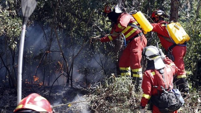 Alcalde de Santa Cruz cuestiona investigación de la Fiscalía Nacional por incendios