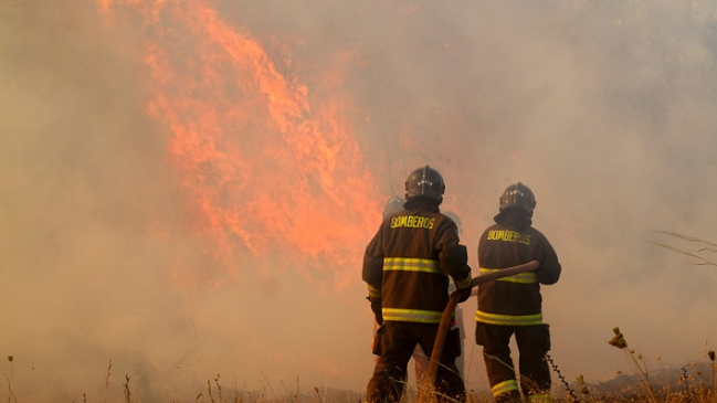 Empresa reconoció con bono a trabajadores que combatieron incendios forestales