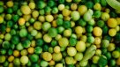 La Historia es Nuestra: Limones al alza en Chile