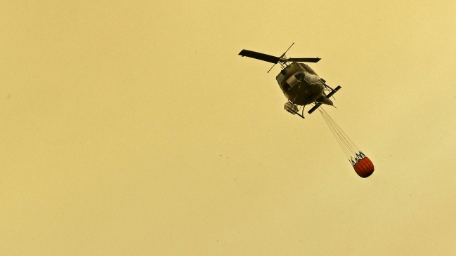 Conaf dijo que desconocía problemas legales de empresas involucradas en 