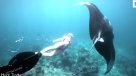 Turistas nadaron con mantarrayas gigantes en Hawai