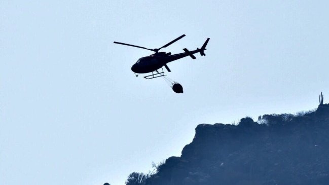 Querellante del Cartel del Fuego: 