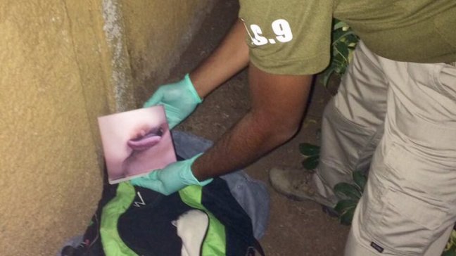 Carabineros recuperó pintura robada desde Museo Bellas Artes