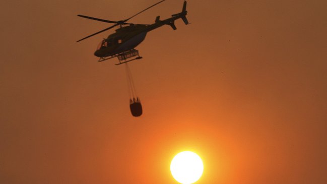 Gobierno respaldó a Conaf: Prejuzgar anticipadamente no ayuda en nada