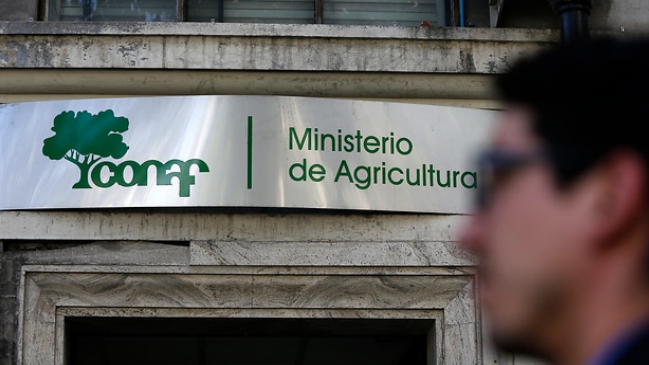 Cartel del Fuego: Gobierno confirmó en su cargo al director de Conaf