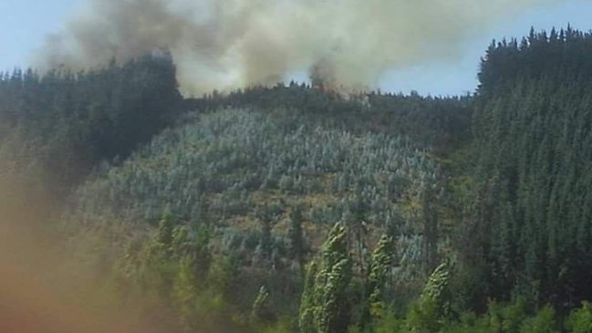 Alcalde de Santa Juana responsabiliza a empresa eléctrica por incendio forestal