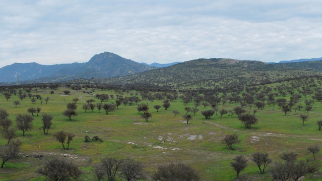 Alcalde de Tiltil pide al Consejo de Ministros rechazar planta de residuos en Rungue