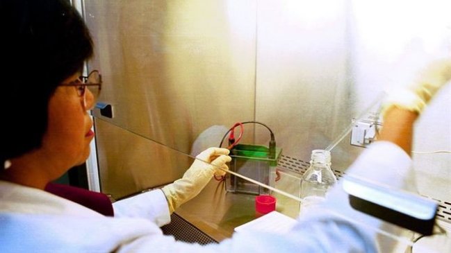 Confirman sexto caso de virus hanta del año en Los Ríos