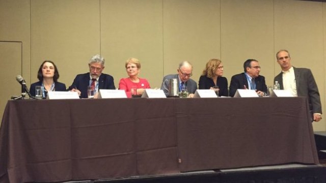 Imagen foto_00000015