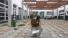 PDI y Carabineros decomisaron millonarios cargamentos de droga