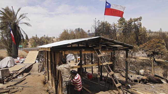 Decálogo de recomendaciones para la reconstrucción post incendios forestales