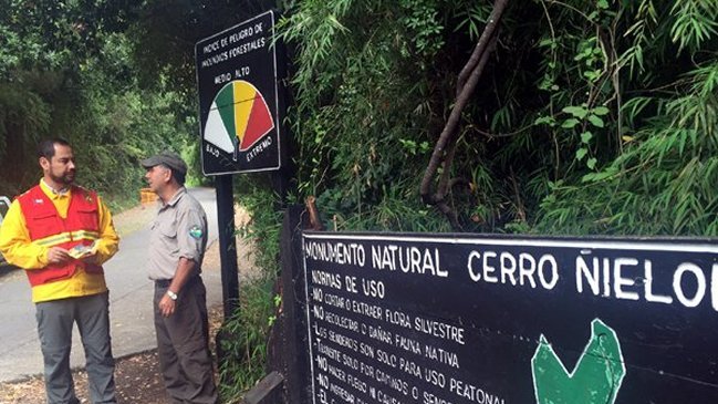 Ejército y Carabineros vigilan monumento natural Cerro Ñielol tras su reapertura