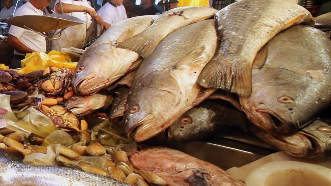 Casos de intoxicación por comer jurel mantiene en alerta a Chiloé