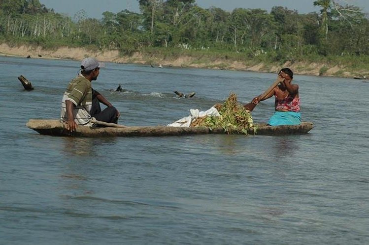 Detectan otro brote de 