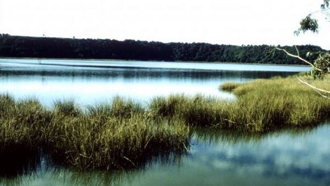 Investigan denuncias de intervención en aguas de Reserva Nacional El Yali