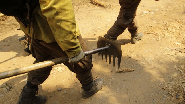 Incendios: Onemi declaró alerta temprana preventiva en tres regiones
