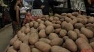 Científicos encuentran una papa que podría crecer en Marte