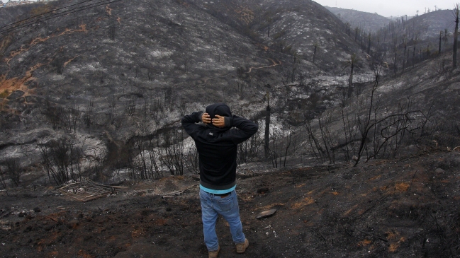 Alcaldesa de Viña del Mar llamó al Gobierno a solucionar situación de campamentos