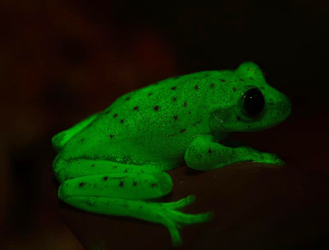 Imagen foto_00000003