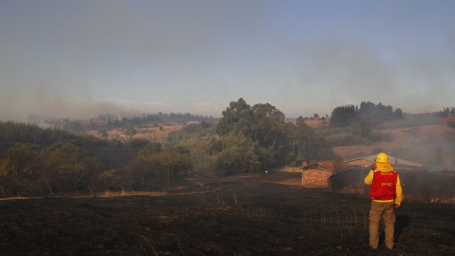 Sequía agudizada por incendios afecta a casi 300 familias de la comuna de Hualañé