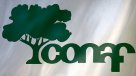 Gobierno entregará antecedentes de Conaf a comisión investigadora tras filtraciones