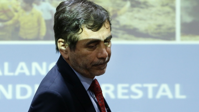 Incendios forestales: Director de Conaf llega este lunes hasta comisión investigadora