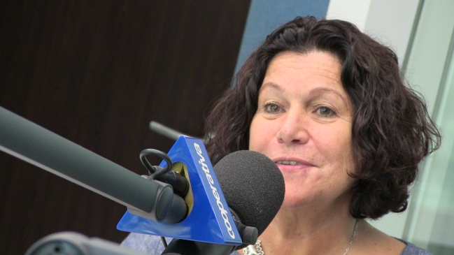 Consejo de la Infancia: Nueva ley sancionará el maltrato que no deja lesión