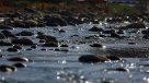 Alerta por derrame de petróleo en cuenca del Río Mapocho