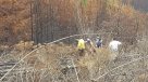 Hubo reconstitución de escena por muerte de tres brigadistas en Vichuquén
