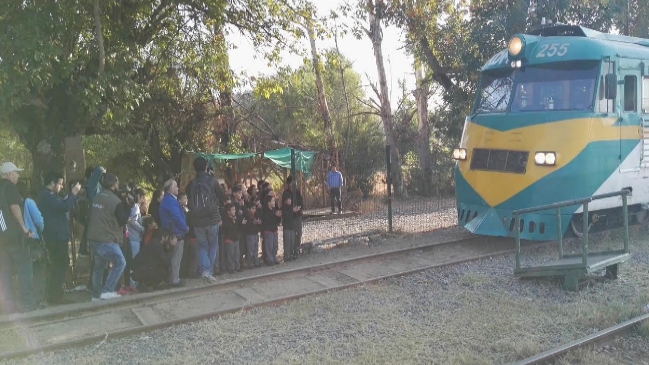 Incendios forestales: 