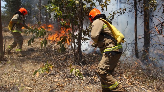 PDI investiga osamentas encontradas en terrenos afectados por incendios forestales en Florida