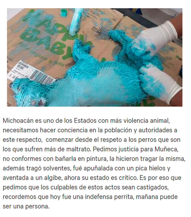 Imagen foto_00000001