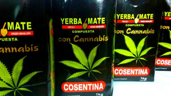  Uruguay venderá yerba mate con cannabis  