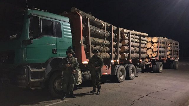 Carabineros detuvo a ocho sujetos por robo de madera en Pidima
