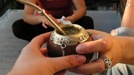 Uruguay: No hay autorización para venta de yerba mate con cannabis