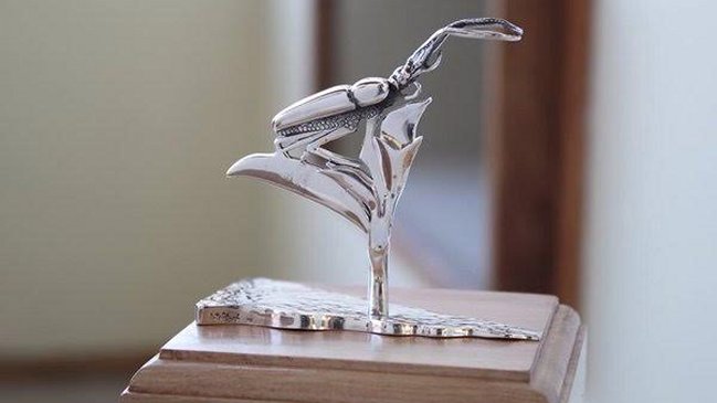 Este miércoles se inaugura el Séptimo Festival de Cine de la Patagonia Aysén