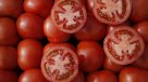 El explosivo aumento en el precio de los tomates