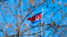 Corea del Norte califica de \