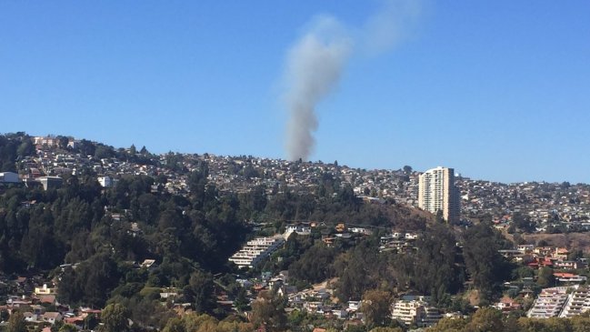 Nuevo incendio forestal se registró este martes en Viña del Mar