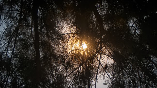 Meteorología emitió aviso por altas temperaturas entre Valparaíso y Biobío