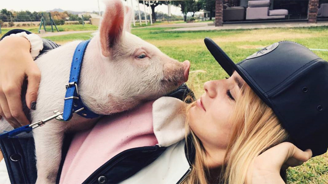 Mascota de Kika Silva fue atacada por perros y resultó internada