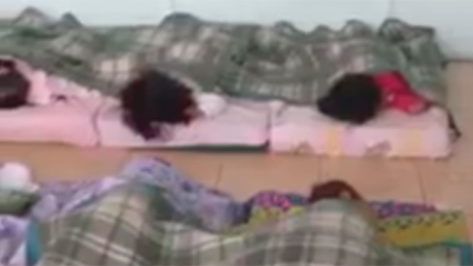   Captan plaga de ratones en jardín infantil de Peñalolén 