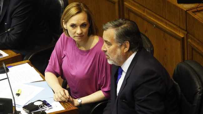 Comando de Goic criticó 