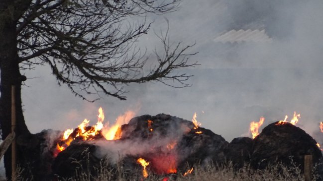 Nuevo ataque incendiario se registró en Cañete