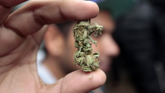 Abogado solicitó dejar sin efecto procedimientos por consumo de marihuana